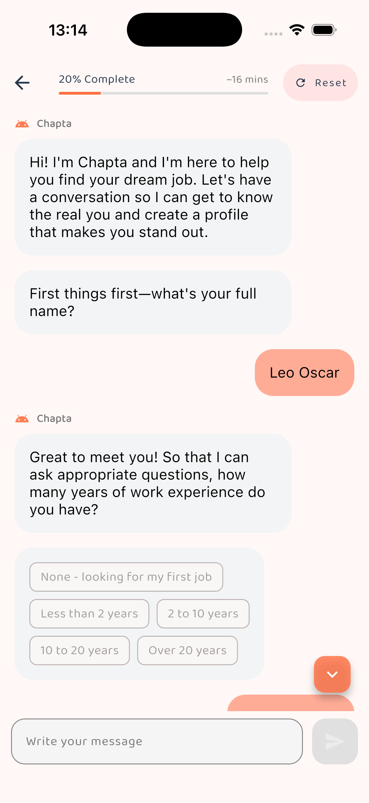 Chat conversation screen